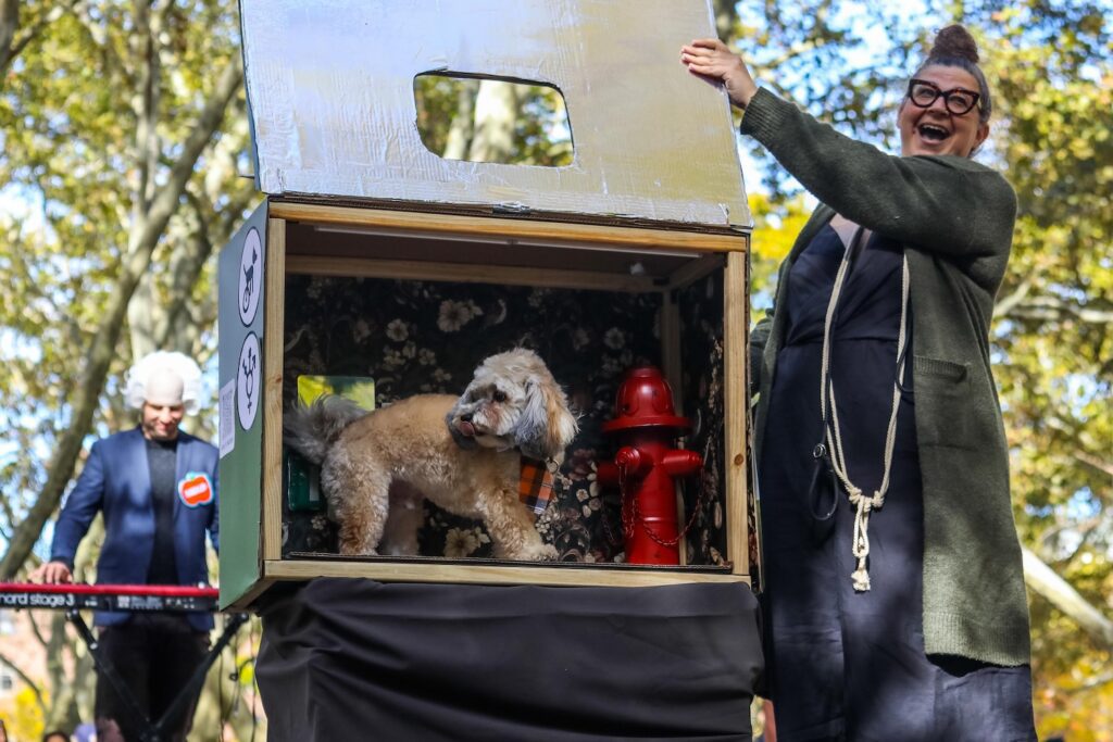 Scenes From The 2026 Great Pupkin Dog Costume Contest in Fort Greene