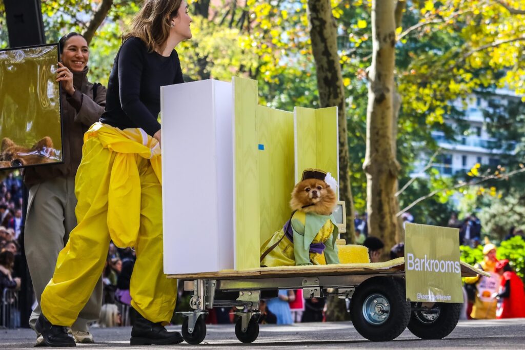Scenes From The 2026 Great Pupkin Dog Costume Contest in Fort Greene
