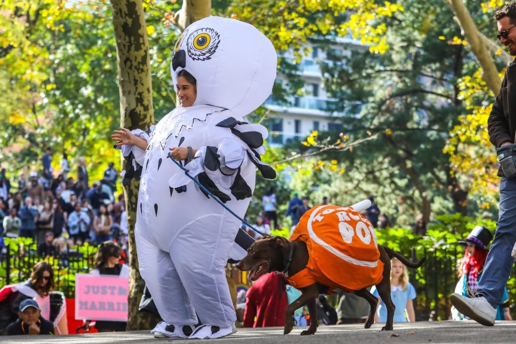 Scenes From The 2026 Great Pupkin Dog Costume Contest in Fort Greene