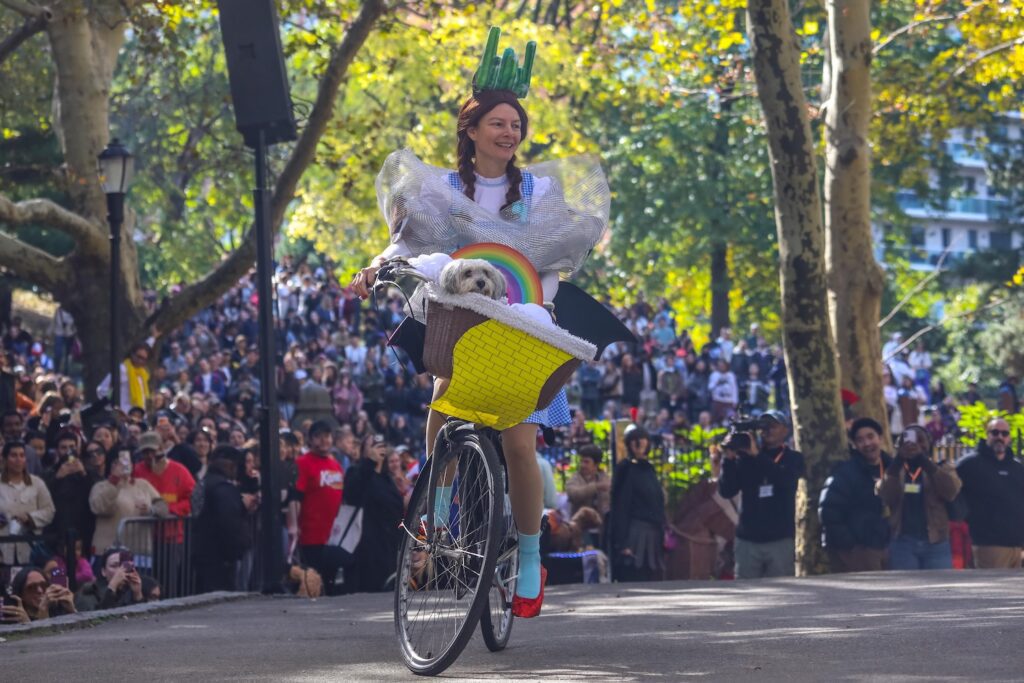Scenes From The 2026 Great Pupkin Dog Costume Contest in Fort Greene