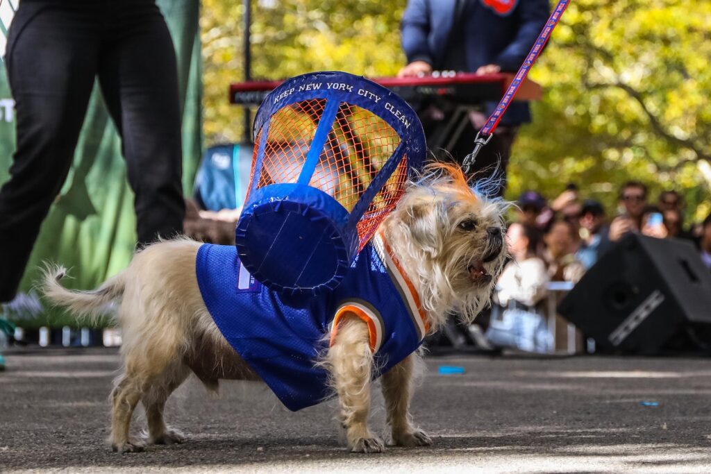 Scenes From The 2026 Great Pupkin Dog Costume Contest in Fort Greene