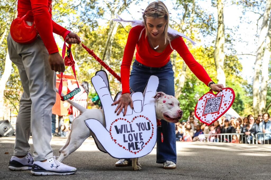 Scenes From The 2026 Great Pupkin Dog Costume Contest in Fort Greene