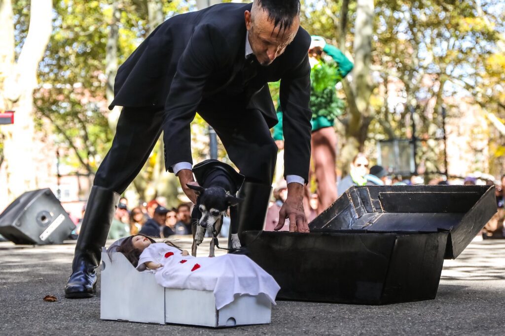Scenes From The 2026 Great Pupkin Dog Costume Contest in Fort Greene