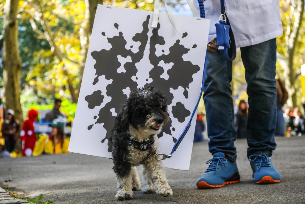 Scenes From The 2026 Great Pupkin Dog Costume Contest in Fort Greene