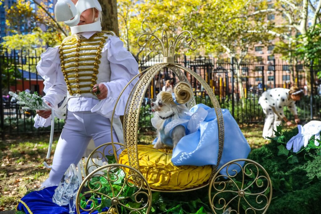 Scenes From The 2026 Great Pupkin Dog Costume Contest in Fort Greene