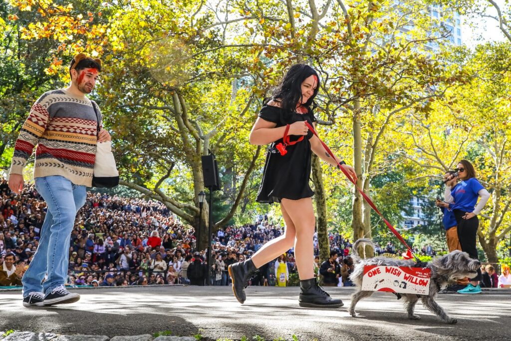 Scenes From The 2026 Great Pupkin Dog Costume Contest in Fort Greene