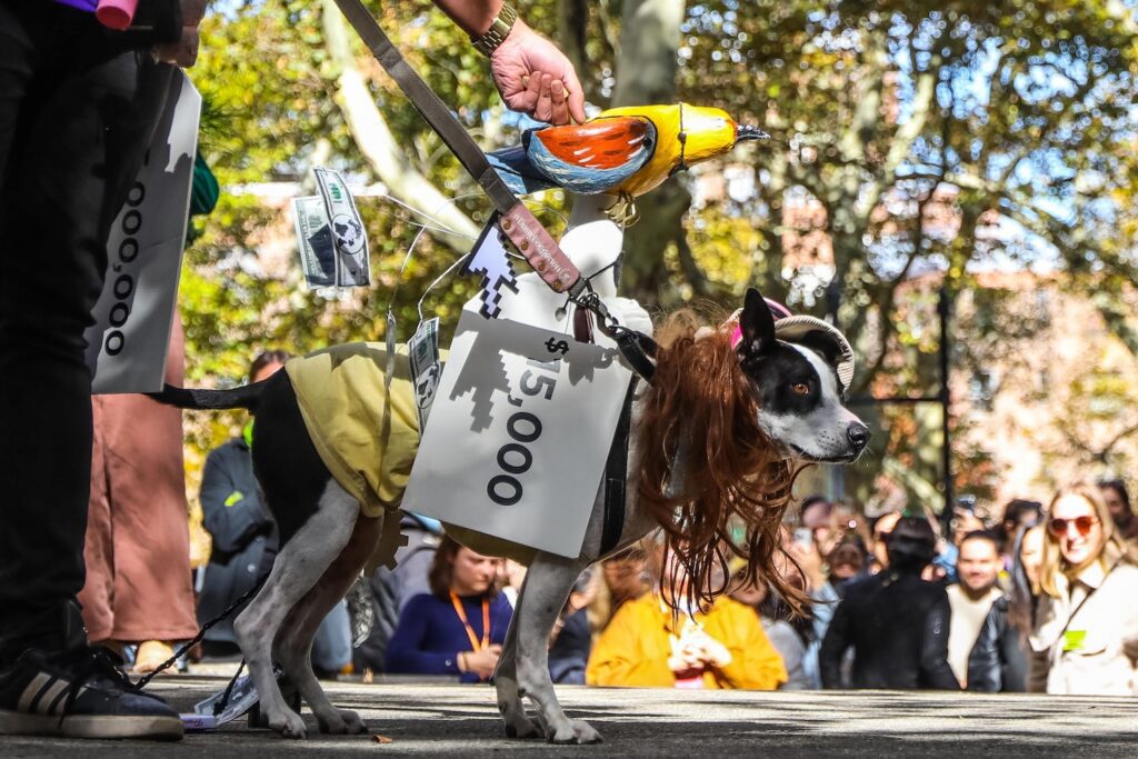 Scenes From The 2026 Great Pupkin Dog Costume Contest in Fort Greene